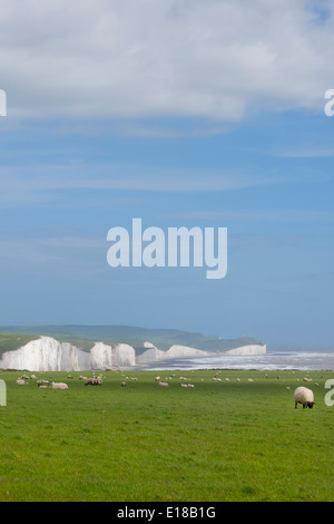 Vue des sept Sœurs par un jour de vent. La fin de la South Downs Way dans le parc national des South Downs dans l'East Sussex. Banque D'Images