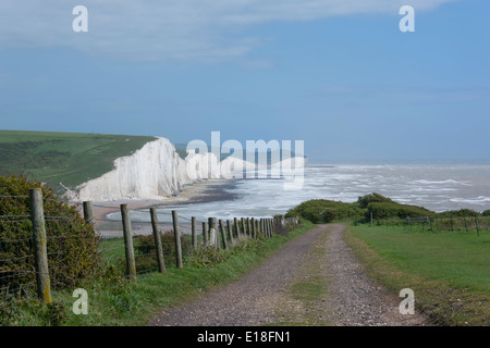 Vue des sept Sœurs par un jour de vent. La fin de la South Downs Way dans le parc national des South Downs dans l'East Sussex. Banque D'Images