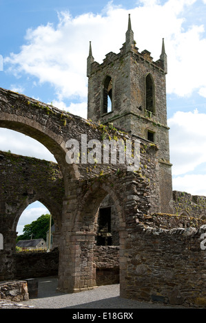 Ruines de l'abbaye cistercienne à Baltinglass, Banque D'Images
