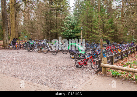 Vélos à Center parcs, Longleat, Wiltshire, Angleterre, Royaume-Uni. Banque D'Images