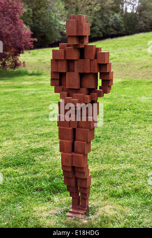 Anthony Gormley sculpture ou une statue, dans les motifs de Belcombe, Bradford-on-Avon, Wiltshire. Banque D'Images