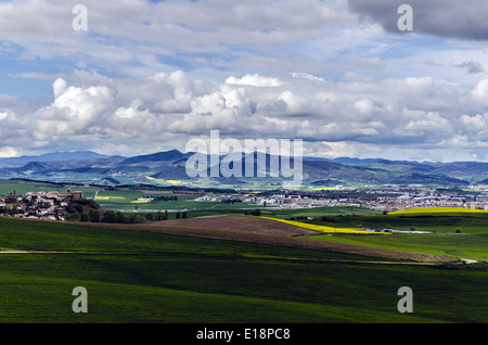 Champs de Navarre en Espagne Banque D'Images