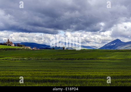 Champs de Navarre en Espagne Banque D'Images