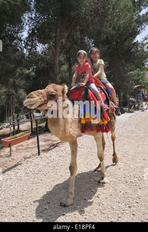 Deux filles profitez d'un tour de chameau, Néguev, Israël Banque D'Images