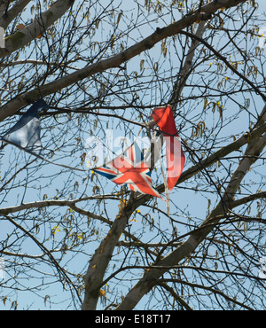 Drapeau de l'Union déchirée bunting pris dans tree Banque D'Images