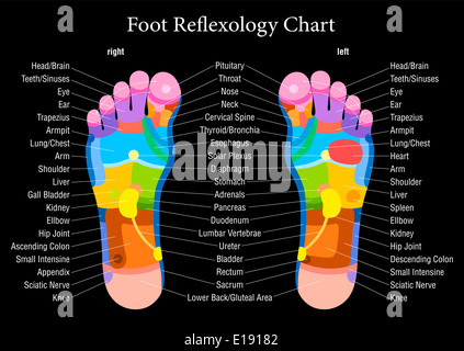 Réflexologie des pieds graphique avec une description précise des organes internes et les parties du corps. Banque D'Images