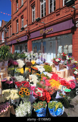 L'Irlande, Dublin, Grafton Street, fleur, décrochage Banque D'Images
