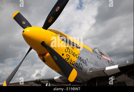 P-51 Mustang Frankie féroce basé à l'aérodrome de Duxford, Cambridgeshire, Angleterre Banque D'Images