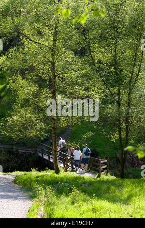 Balades en famille dans les bois de l'eau à Ogden, Halifax, West Yorkshire Banque D'Images