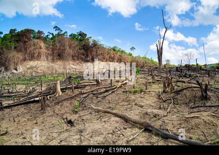 La déforestation dans la région de El Nido, Palawan, Philippines Banque D'Images