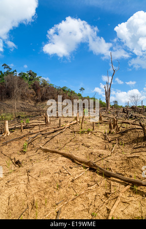 La déforestation dans la région de El Nido, Palawan, Philippines Banque D'Images