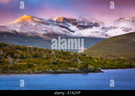 Capri Laguna Lake près d'El Chaltén dans la partie argentine de la patagonie Banque D'Images