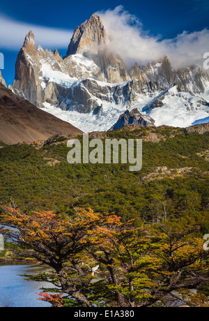 Fitz Roy s'élevant au-dessus de la Laguna Capri en Patagonie, Argentine Banque D'Images