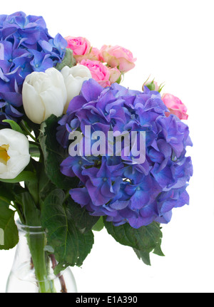 Tulipes blanches, roses et fleurs hortensia bleu Banque D'Images