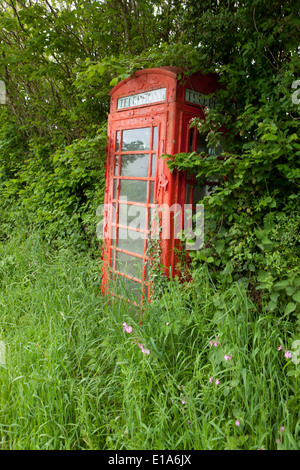 Végétation le long de la route mais encore téléphone rouge fort dans près de Cornwall Liskeard Banque D'Images
