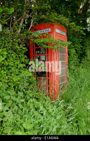 Végétation le long de la route mais encore téléphone rouge fort dans près de Cornwall Liskeard Banque D'Images