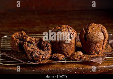 Muffins aux pépites de chocolat double sur une grille de refroidissement. Banque D'Images