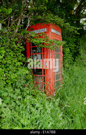 Végétation le long de la route mais encore téléphone rouge fort dans près de Cornwall Liskeard Banque D'Images