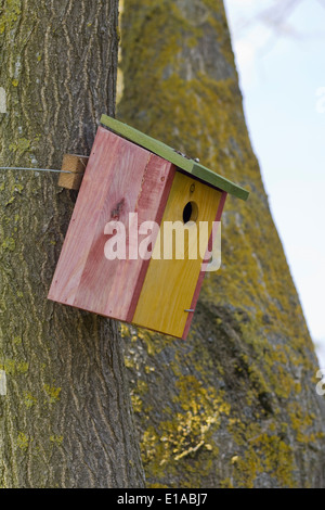 Maison d'oiseau en bois sur un arbre Banque D'Images