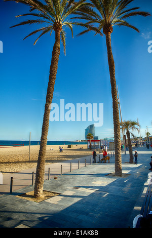 Passerelle sur la plage de Barceloneta avec palmiers, Barcelone, Catalogne, Espagne Banque D'Images