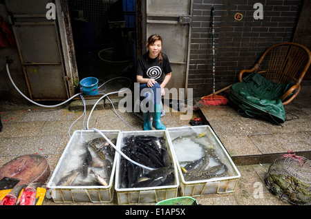 Jeune femme s'occupe d'un étal de poisson qui vendent, c.-à-d., le poisson très frais à un marché chinois Banque D'Images