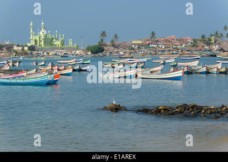 Bateaux de pêche colorés dans le port, il Mohijedin Sher Darga Sherif mosquée à l'arrière, Kovalam, Kerala, Inde Banque D'Images