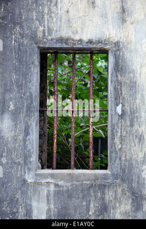 C'est une photo d'une fenêtre avec quelques barres de prison ou d'une grille comme une prison. C'est ouvert sur la forêt ou vert vue naturelle Banque D'Images