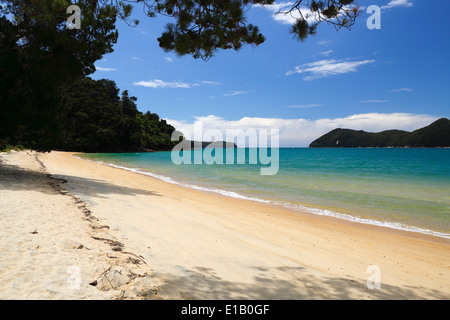 Apple Tree Bay Beach, parc national d'Abel Tasman, région de Nelson, île du Sud, Nouvelle-Zélande, Pacifique Sud Banque D'Images