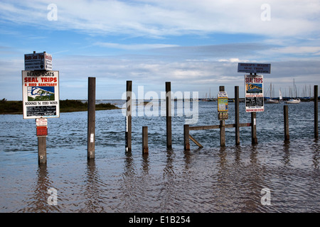 Blakeney quayside inondation sur une marée haute Banque D'Images