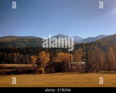 Elk Meadows Road et East Fork de Lolo Creek Road10 Banque D'Images