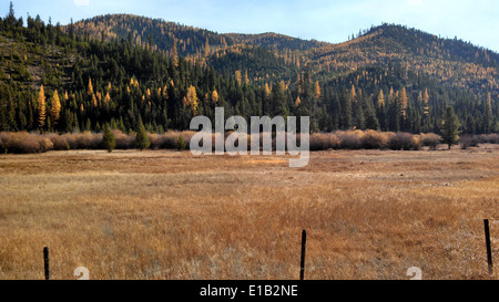 Elk Meadows Road et East Fork de Lolo Creek Road9 Banque D'Images