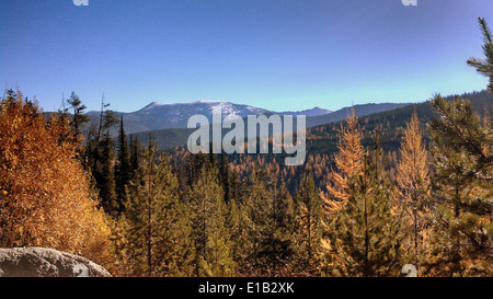 Elk Meadows Road et East Fork de Lolo Creek Road Banque D'Images