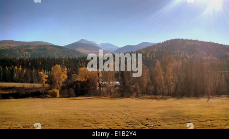 Elk Meadows Road et East Fork de Lolo Creek Road11 Banque D'Images