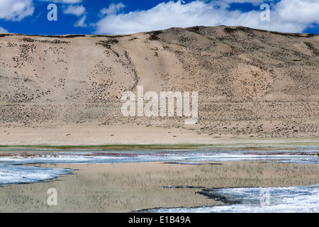 Paysage dans la région de Tso Kar, salt lake, Changtang Rupshu, Ladakh, le Jammu-et-Cachemire, l'Inde Banque D'Images