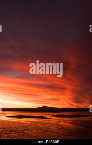 Coucher Soleil nuages sur la lagune Chaxa, les flamants réserve nationale, Secteur Soncor, Salar de Atacama, Chili Banque D'Images