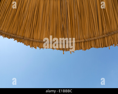 Close up detail d'une section de parapluie parasol de paille contre un ciel bleu vif Banque D'Images