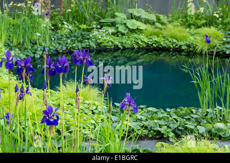 Le No Man's Land : Soldat ABF's Charity Jardin à la Chelsea Flower Show 2014 Banque D'Images