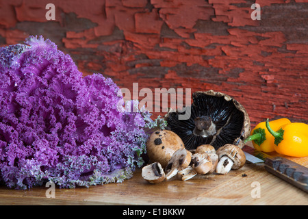 La cuisine santé frais ingrédients avec une tête de chou vert frisé pourpre-feuille, frais agaricus champignons et patates jaunes colorés bel Banque D'Images