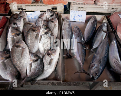 Fresh la daurade (Sparus aurata) et du maquereau à la vente à la marché aux poissons de Marsaxlokk Marsaxlokk à Malte. Banque D'Images