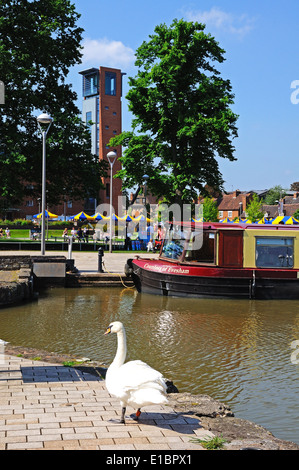 Swan debout sur le chemin de halage sur le bord du bassin du canal la partie de la Royal Shakespeare Theatre de Stratford, à l'arrière. Banque D'Images