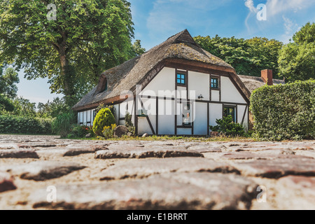 Vieille maison à colombages au toit de chaume sur une route de village, Blandow, Ruegen Island, Mecklembourg-Poméranie-Occidentale, Allemagne Banque D'Images