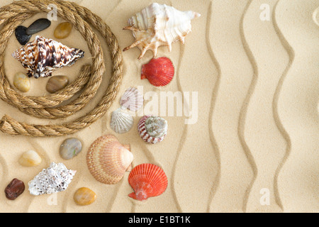 La vie encore marine avec une collection de coquillages différents, de cailloux et de pierres et une corde enroulée sur le sable de la plage dorée Banque D'Images