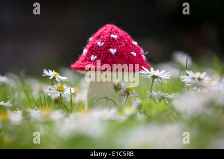 Petit rouge tricoté Fly Agaric toadstool parmi les marguerites sur pelouse Banque D'Images