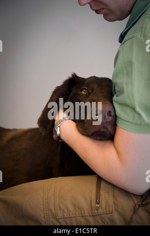 Brown dog être réconforté par propriétaire Banque D'Images