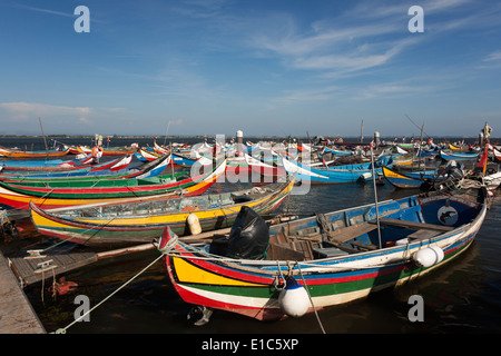 Moliceiros traditionnels bateaux de pêche avec des proues, peint dans des couleurs vives, amarré au large de Torreira. Banque D'Images