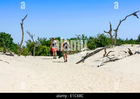 Les gens qui marchent à travers la forêt morte à la plage sur l'Île Cumberland GA Banque D'Images