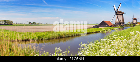 Moulins à vent traditionnel néerlandais sur une journée ensoleillée Banque D'Images