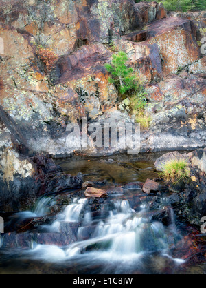 Petite cascade avec des roches couvertes de lichen sur Glen Alpine Creek près de Fallen Leaf Lake. Californie Banque D'Images