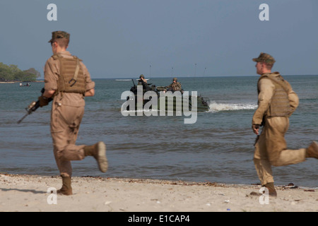 Les Marines américains affectés à l'Escadron de soutien de l'aile Marine (MWSS) 271 un guide de l'AAVP7A1 assault amphibian véhicule pour une zone d'atterrissage Banque D'Images