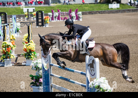 HITS sur le saut d'Hudson, Saugerties, NEW YORK Banque D'Images